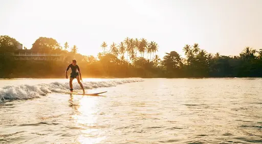 Reisen Sie durch Sri Lanka mit privatem Chauffeur